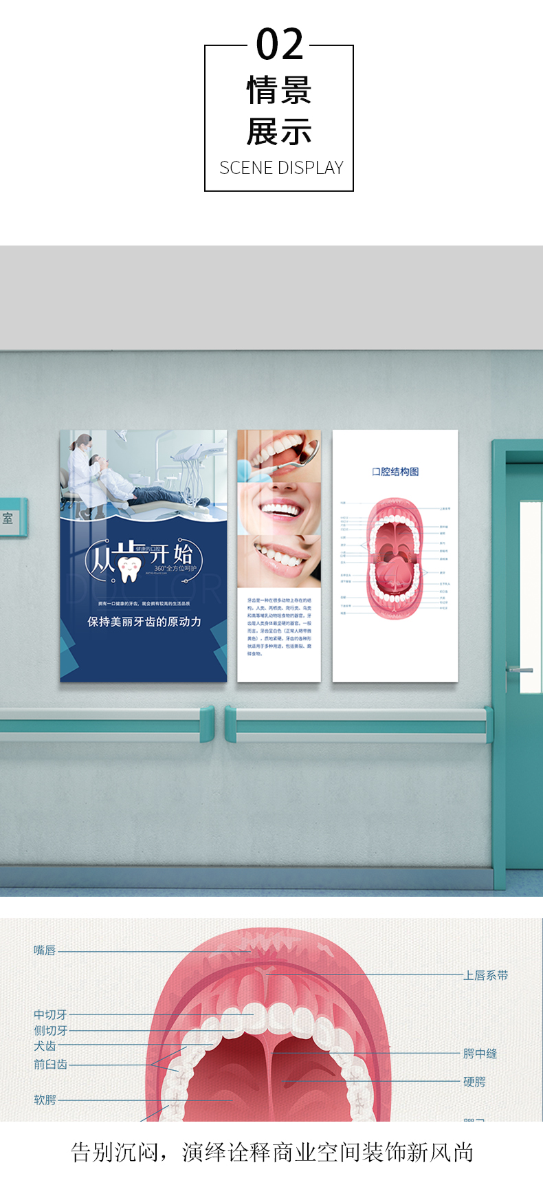 访客牙科诊所挂画口腔结构图牙齿种植宣传广告医院装饰画背景墙壁画r