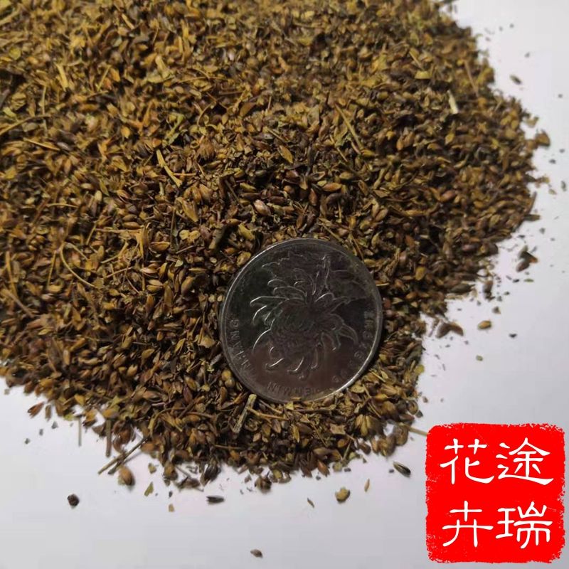 线菊蚂蝗草珍珠梅景观花海庭院耐寒耐旱花草种子 混色绣线菊种籽半斤