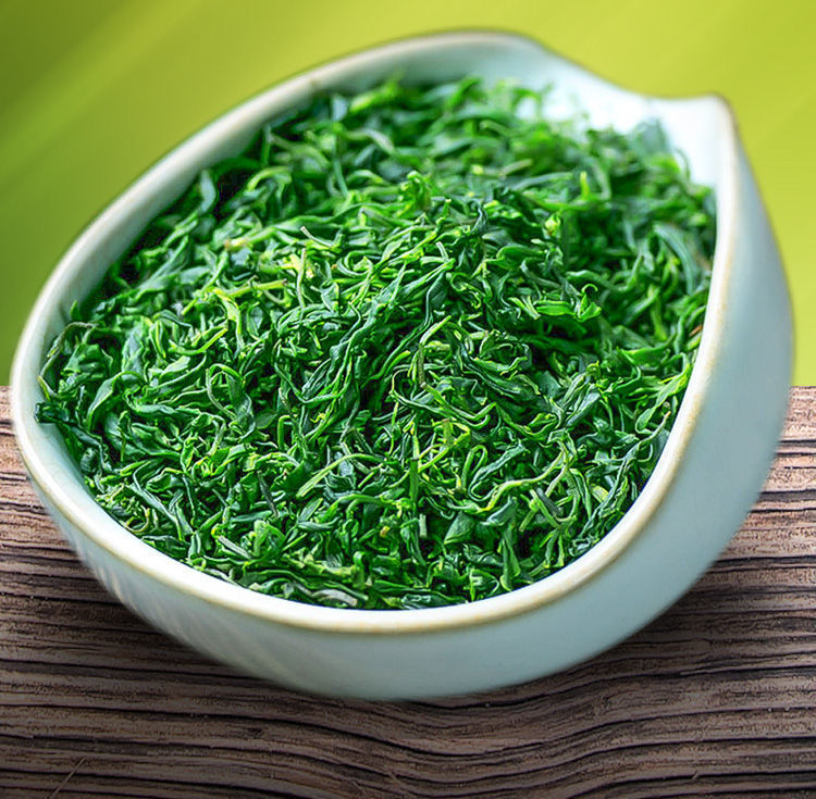 晨臻苦丁茶毛冬青茶贵州青山绿水茶叶小叶苦丁茶嫩芽组合小叶苦丁