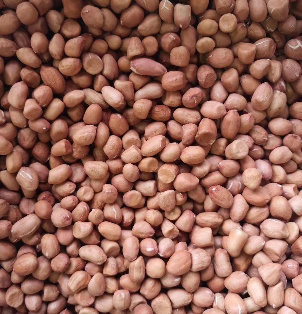 21白沙花生米农家自产无农可以直接食用21大颗粒白沙花生米250克尝鲜