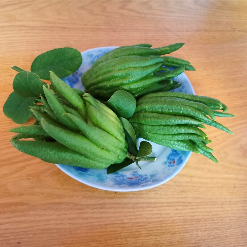 小佛手金华佛手鲜果佛手柑新鲜佛手瓜金佛手香橼500g 1.6-1.