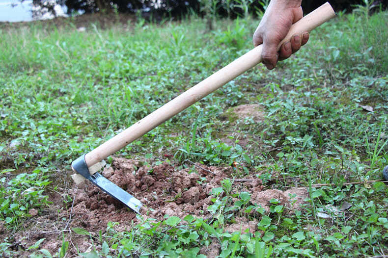 界梁山锄头除草专用全钢老式种菜种花家用开荒农用小型挖土工具锄草