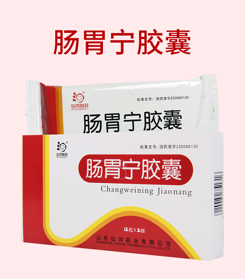 仙河肠胃宁胶囊03g24粒盒1盒