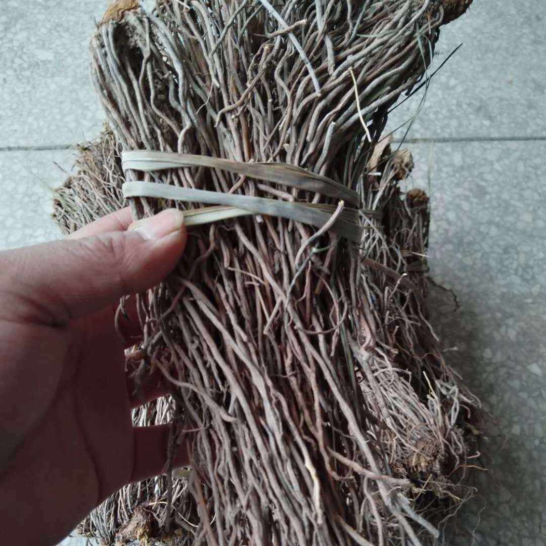 官方旗舰陕西秦岭野生威灵仙新鲜威灵仙干货山辣椒秧根威灵仙根500g