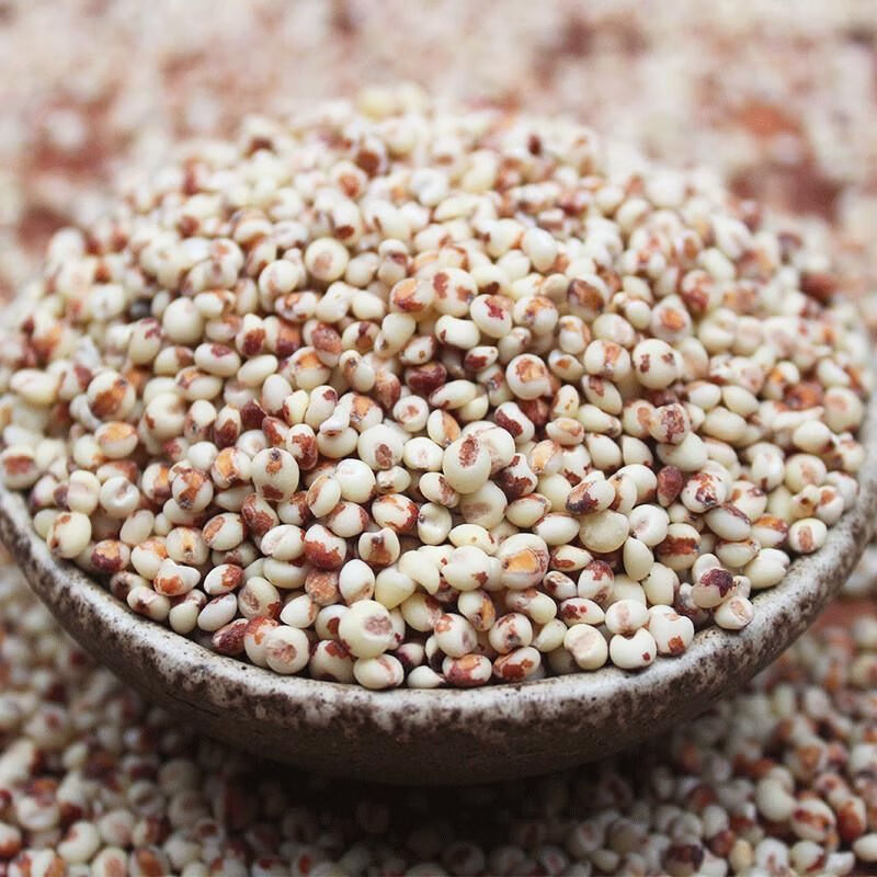 东北新粮粘糯高粱米黏高粱去皮脱壳粗粮1斤3斤5斤熬粥包粽子粘糯高粱