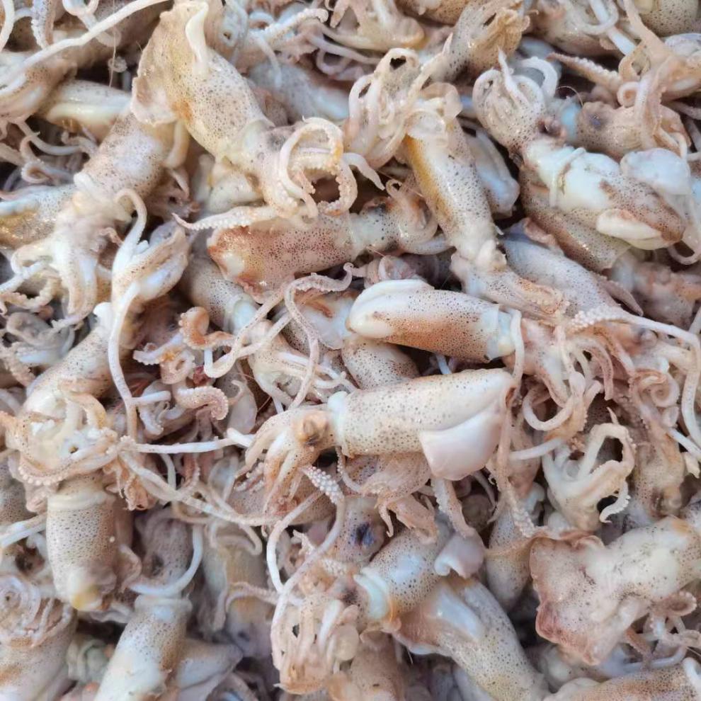 500g海兔新鲜盐渍生鲜干海鲜干货100g惟纳德稍晾海兔500g