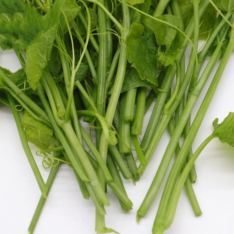 云南德宏新鲜蔬菜傣家自种洋瓜尖 丝瓜尖 佛手瓜尖龙须菜1/2斤 2斤