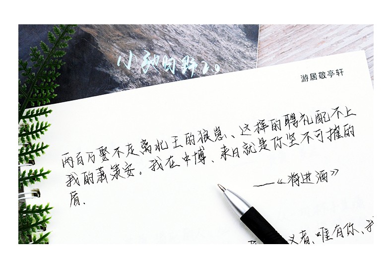 归野体20字帖考试用字体小弛归野手写练字帖女生字体漂亮大学生钢笔