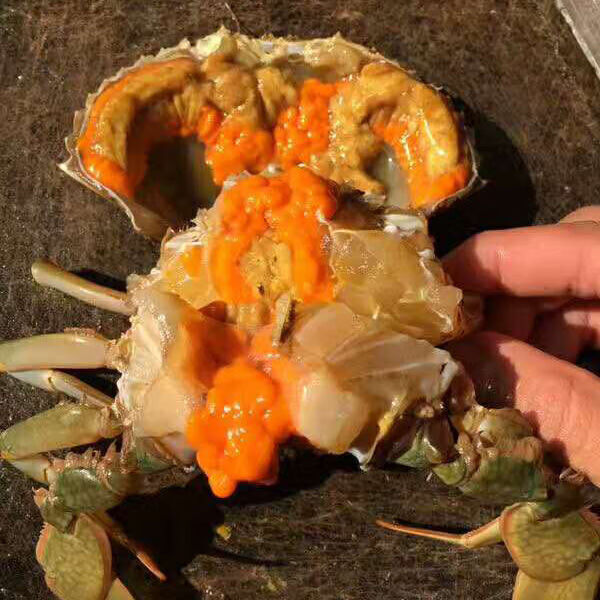野生特大号包肥青蟹膏蟹鲜活1公1母蝤蛑羔肉蟹红鲟包活顺丰空运鲜木鲜