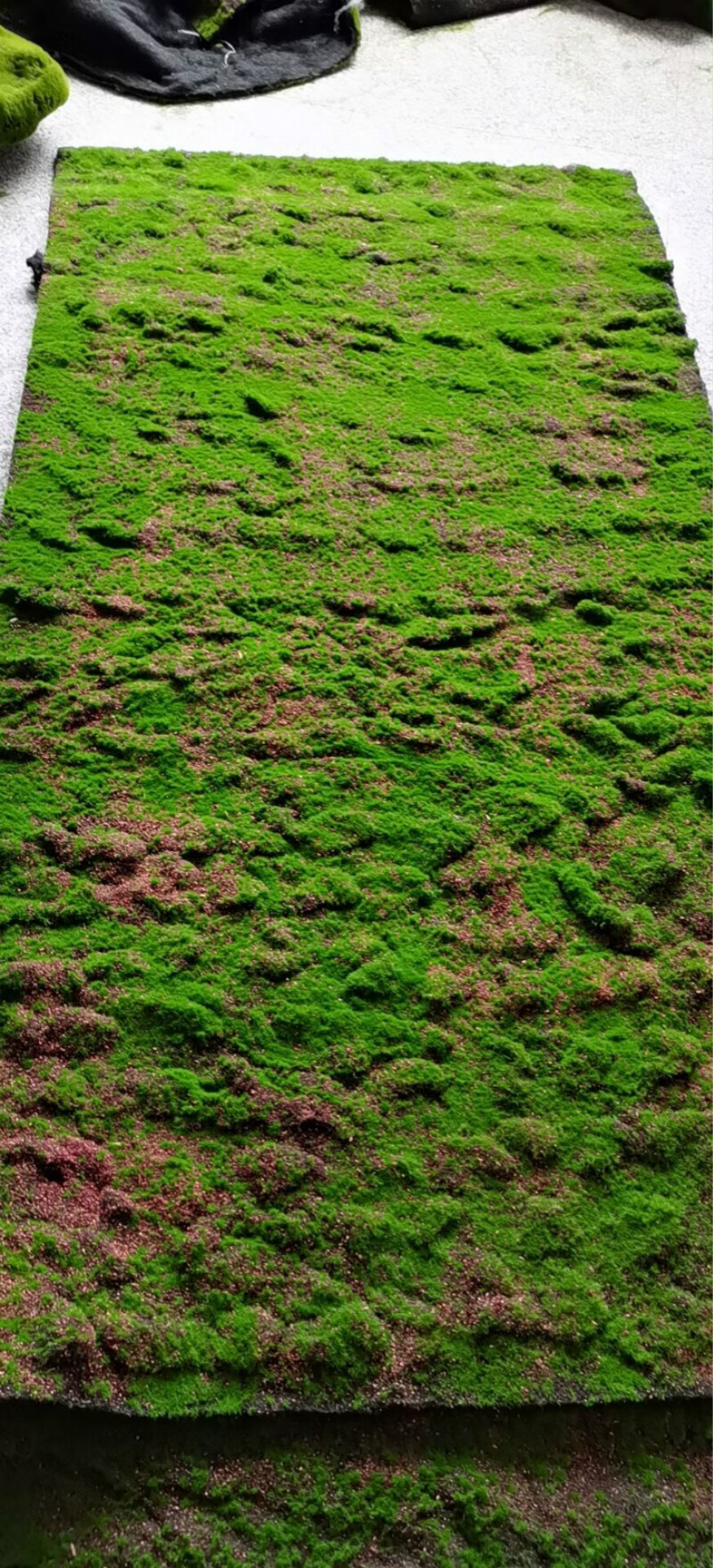 仿真绿植墙青苔草坪苔藓草坪仿真青苔盆景场景橱窗假苔藓软装装饰 9号