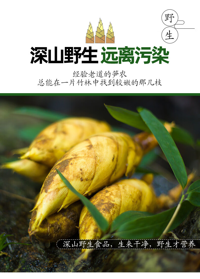 正宗农家现挖野生冬笋新鲜5斤装蔬菜小冬笋农家春笋黄泥竹笋10斤 1500