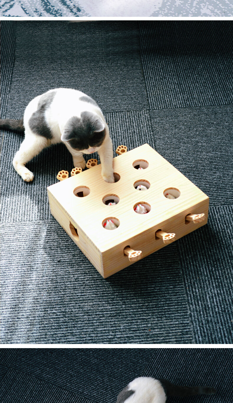 抖音同款京速达basscat网红逗猫棒打地鼠玩具自嗨神器套装小老鼠人宠