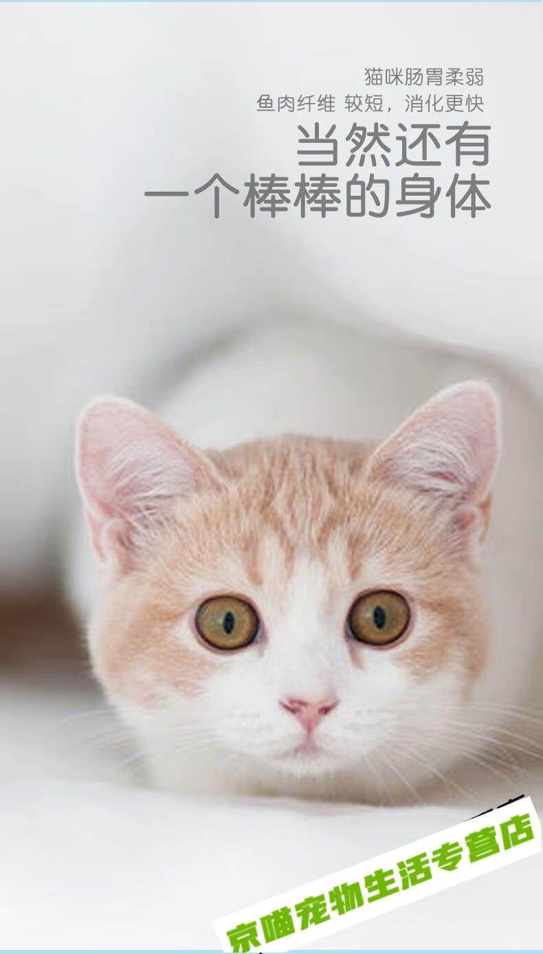 a806371038e141fd.jpg