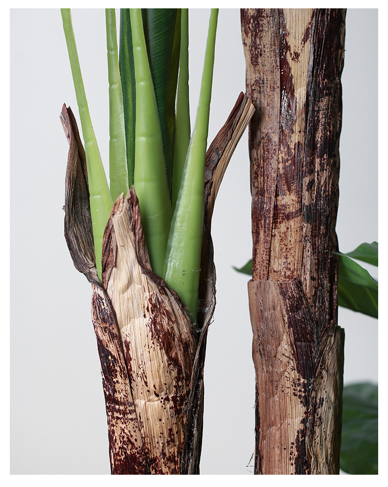 仿真树 装饰北欧大型落地仿真绿植芭蕉树旅人蕉阔叶热带植物隔断橱窗