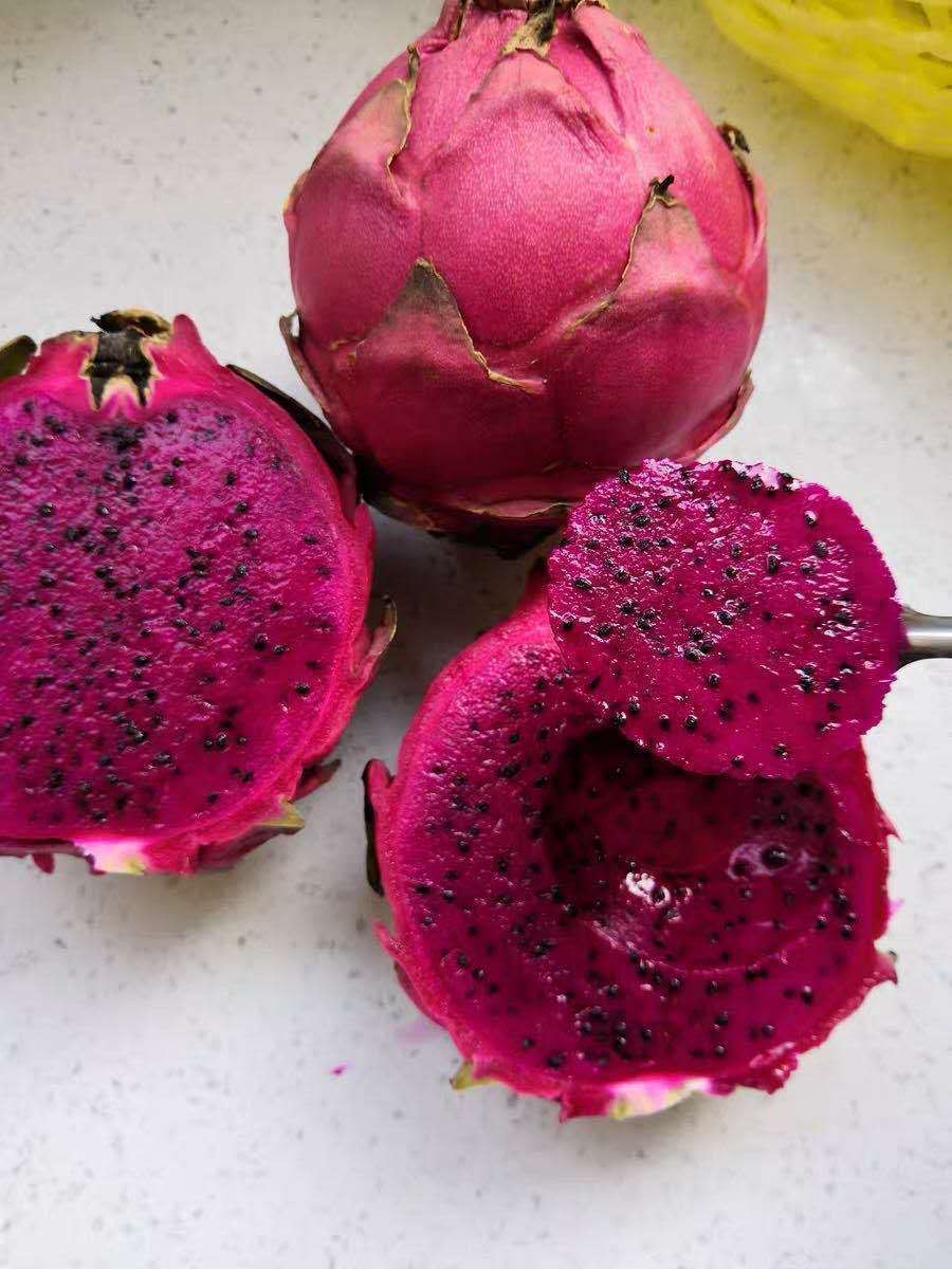 年货精选金都一号蜜宝红心火龙果现摘新鲜水果红肉孕妇批发235斤甜5斤