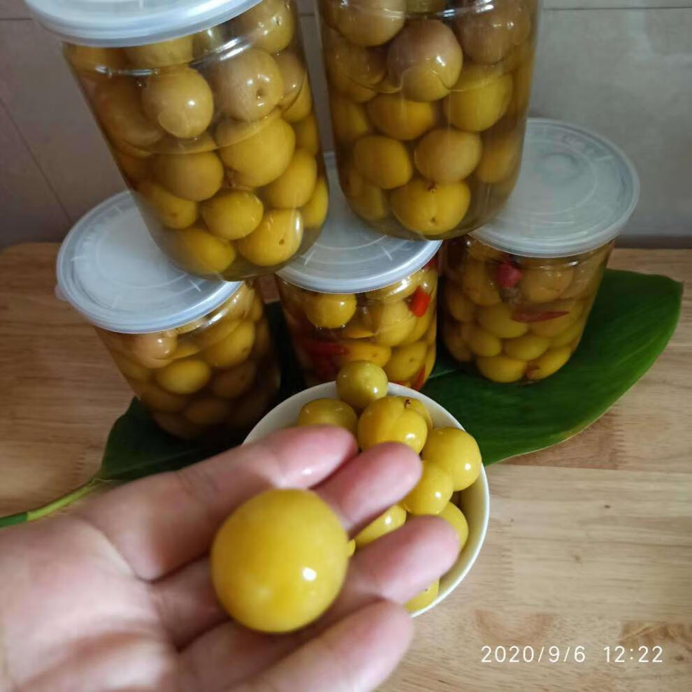 广西酸李子酸嘢农家自制李子腌制水果新鲜李子泡果横县不辣300克瓶