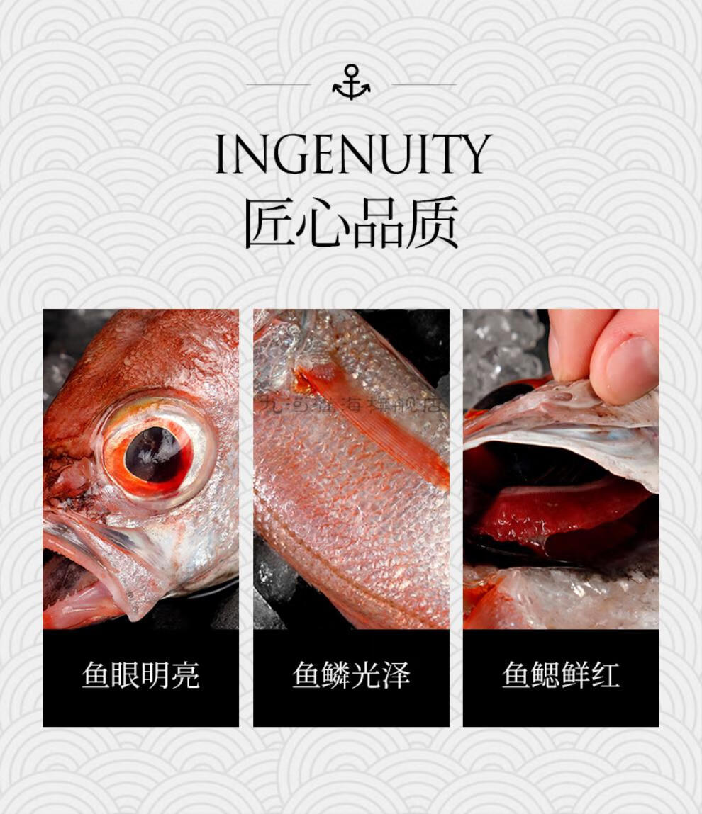 九河灌海旗舰店红果鲤新鲜速冻野生捕捞深海东海赤鯥鱼黑喉鱼3斤实惠