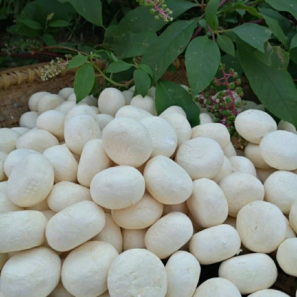 湖南衡阳土特产糄粑草糄粑农家纯手工自制全干饼粑500克 1000g【图片