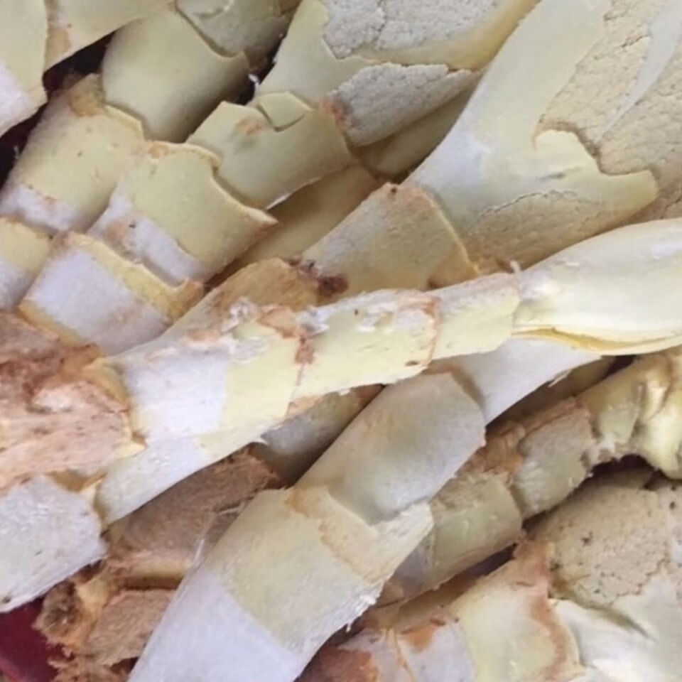 棕榈芯 食品 江西赣南农家棕贝棕苞棕包米新鲜纯生长棕芘棕芯棕心尾