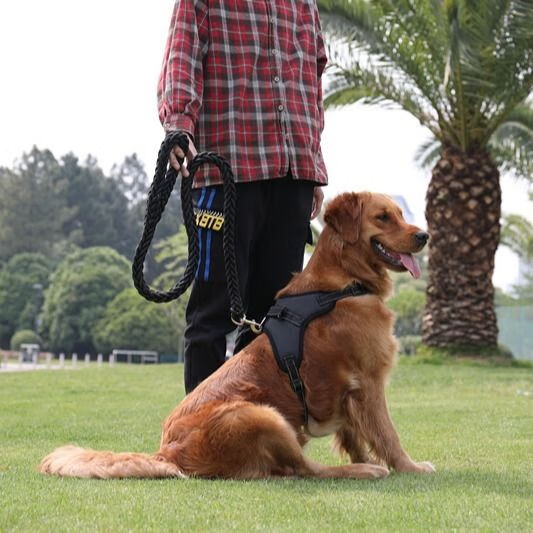 金毛狗链子胸背带狗狗牵引绳大型犬牵狗绳子中型犬拉布拉多拴狗绳红