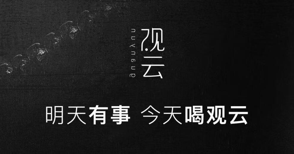 观云谈笑间高度浓香型白酒500ml单瓶整箱纯粮食酒白酒观云谈笑间52度4