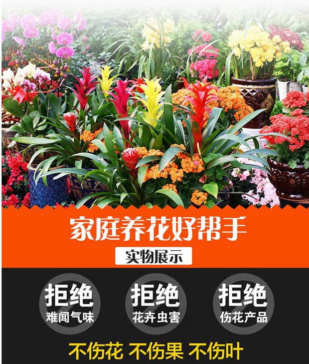 护花神1盒20瓶九州护花神杀虫王家庭花卉专用杀虫剂植物家用室内盆栽