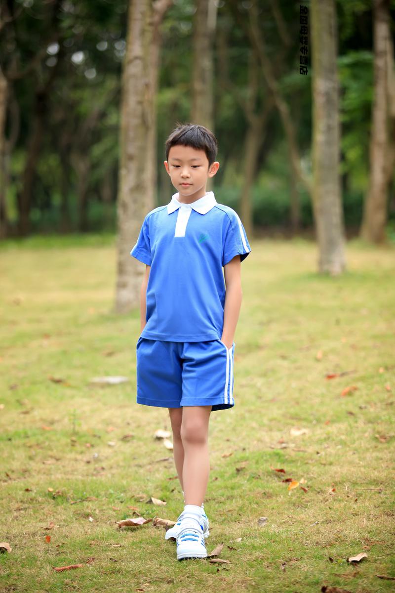 推荐 深圳学生上学装备 深圳莎臣豹校服 小学生夏季运男运动服定制
