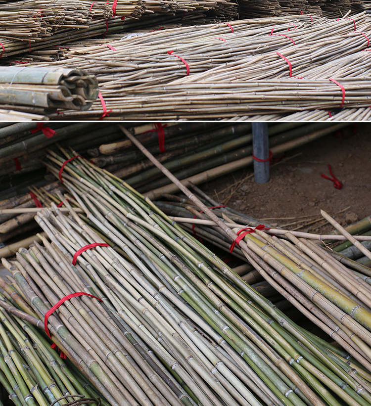 黄瓜架用竹杆菜架竹竿菜园搭架园艺架支撑架细小竹竿hkml1厘米粗15米