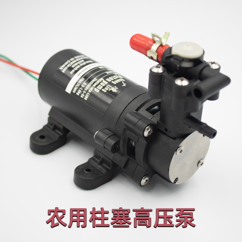 微型小超高压雾化电机12v水泵农用打药机小马达直流电动泵 直喷型(无
