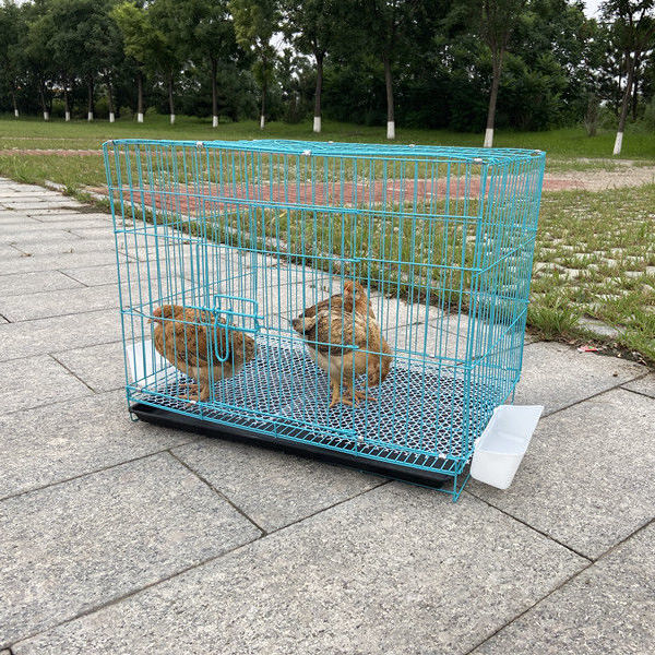 新品 雏鸡笼子家用小号加密小鸡笼养殖笼折叠雏鸡笼鸡舍鸽子笼鹌鹑笼