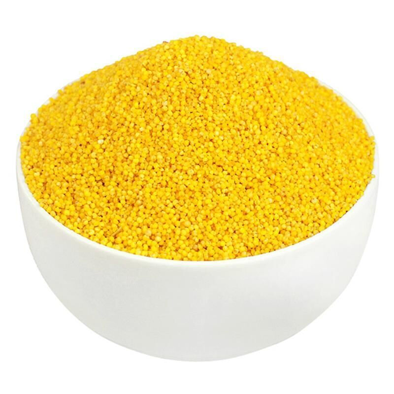 新米章丘龙山黄小米吃的小黄米糯小米粥5斤月子米