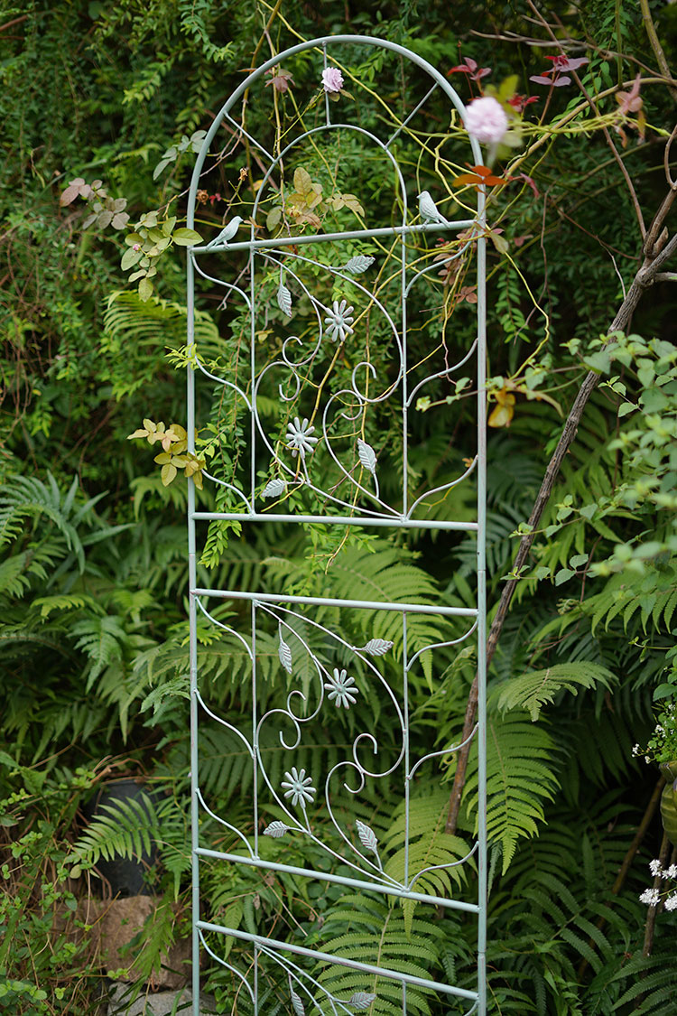 520欧美式铁线莲植物爬藤花架铁艺网格屏风高支架欧式户外庭院园艺