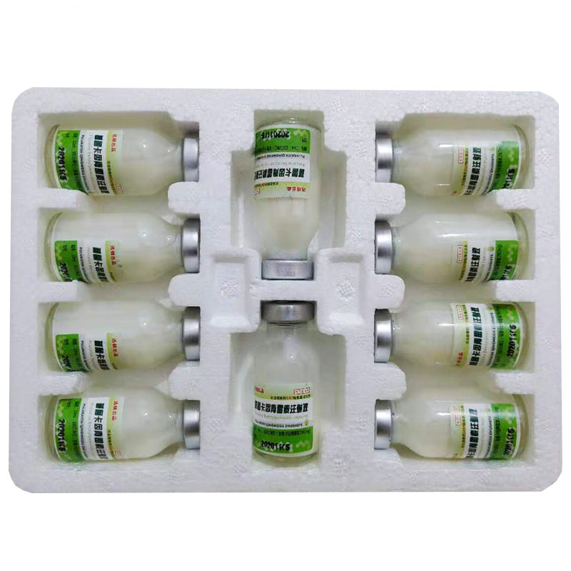 注射液兽药兽用猪牛羊痘疮口蹄油剂青霉素 10支/盒,一盒价格【图片