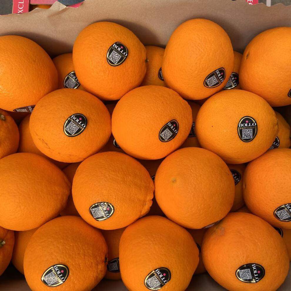 进口西班牙宝露麻袋橙宝路公主橙bollo甜橙大果6斤 甜嫩多汁当季新鲜