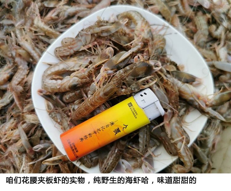顺丰新鲜花腰嘎巴虾狗虾夹板虾花豹虾真正海虾四斤花腰夹板虾