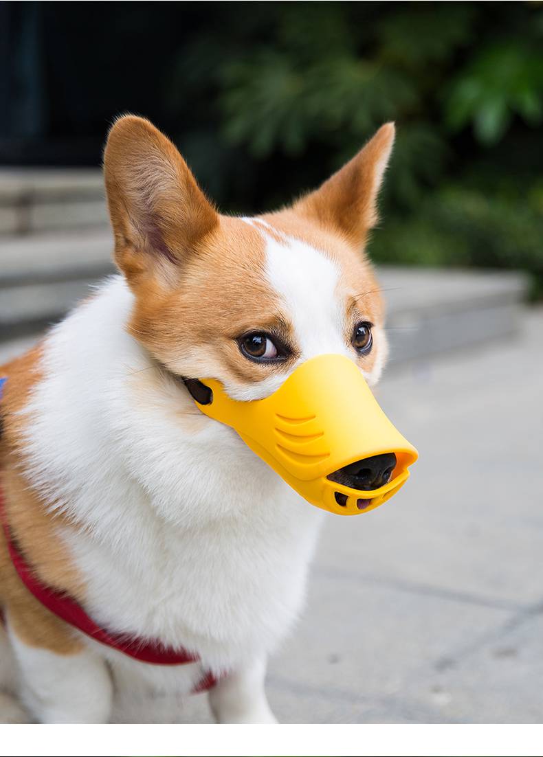 狗嘴套防掉防咬防叫防乱吃狗口罩嘴罩止吠器中型犬柯基泰迪宠物嘴套