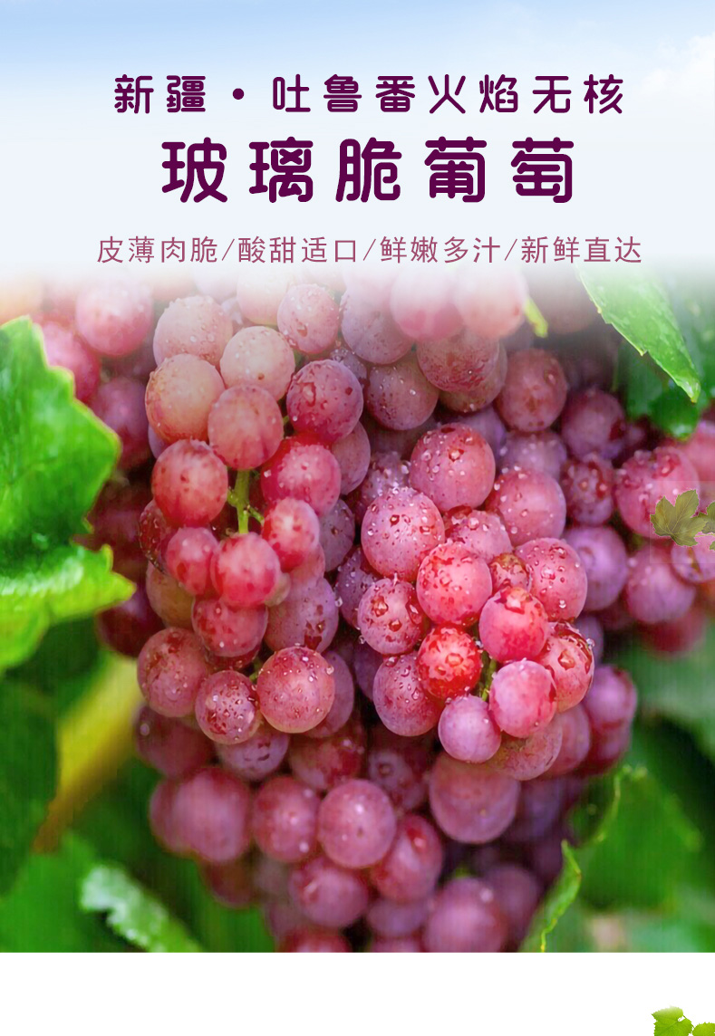 云南玻璃脆葡萄【ems空运-锁鲜到家】吐鲁番玻璃翠新鲜时令水果当季