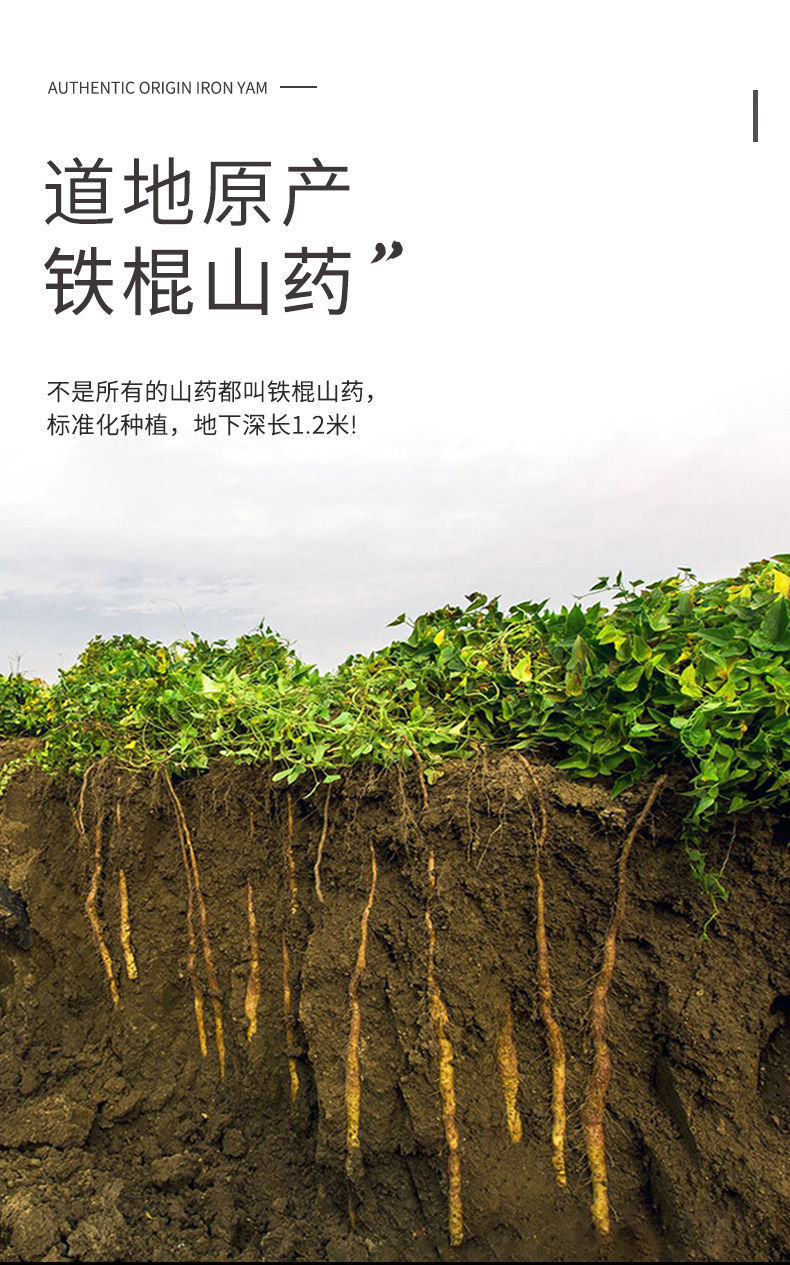 铁棍山药河南焦作温县垆土新鲜铁杆淮山药怀山药特产5斤垆土温县铁棍