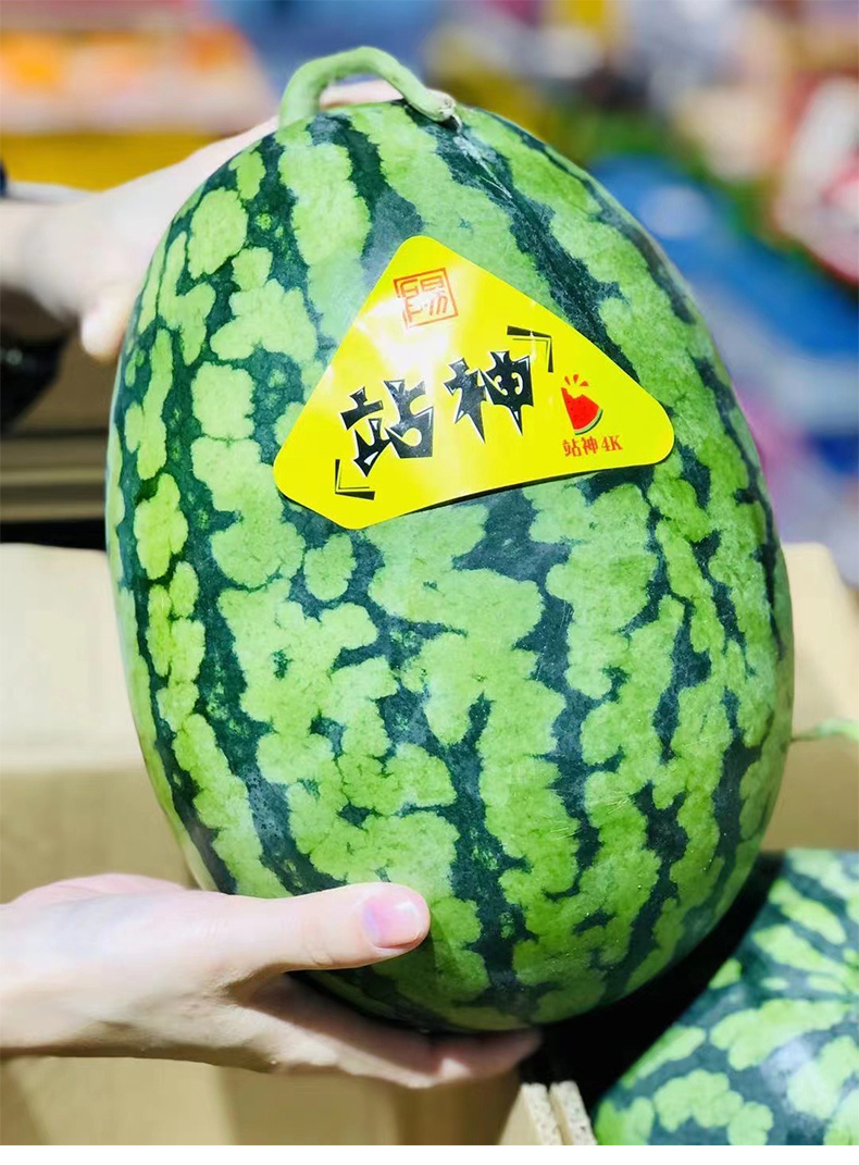 jd顺丰礼盒多地隔日达战神甘美4k盘个瓜新鲜现摘麒麟西瓜海南大西瓜4