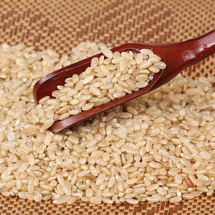 5斤糙米新米粗粮糙米饭原材料糟米慥米粗粮五谷杂粮马培中农产品