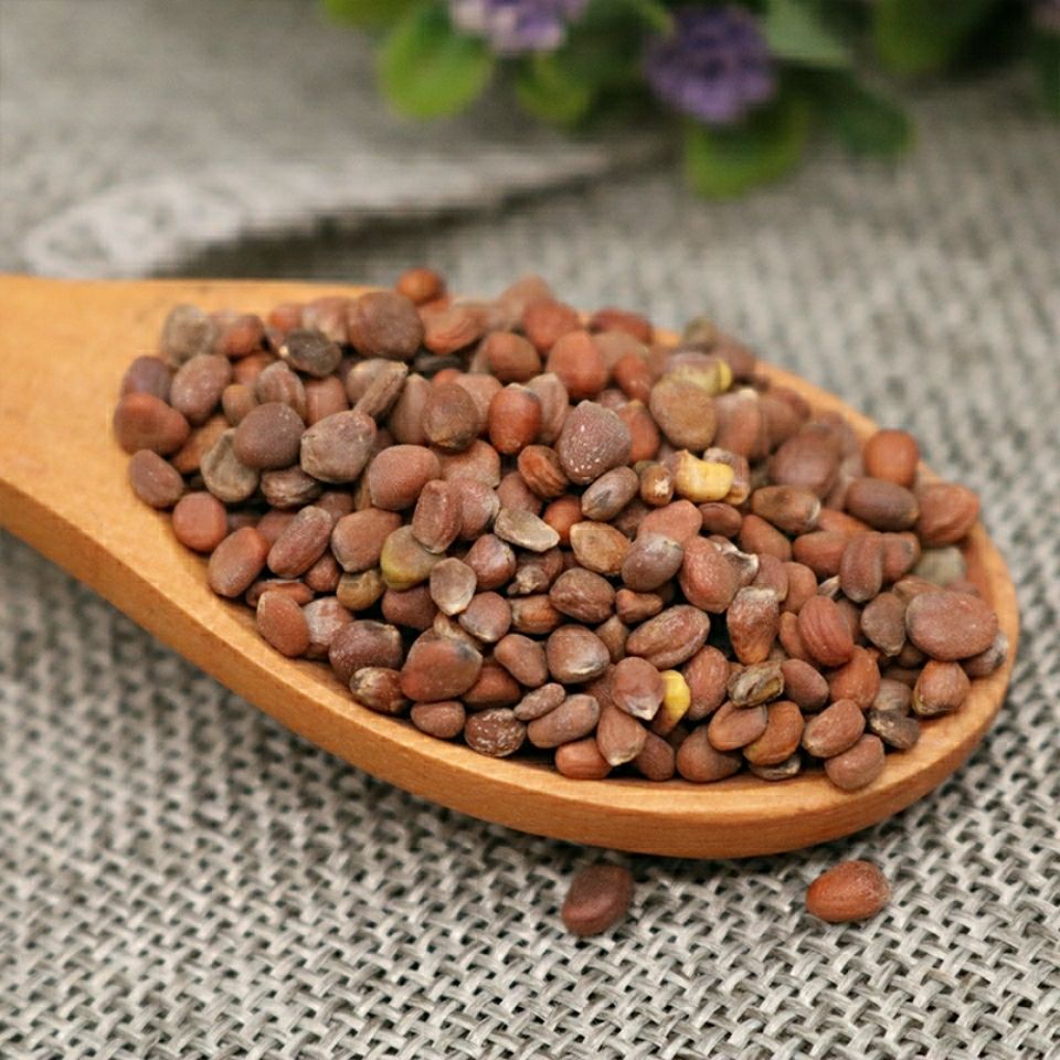 6015啡晨 莱菔子中药材来服子100g天然无硫另有白芥子紫苏子sn