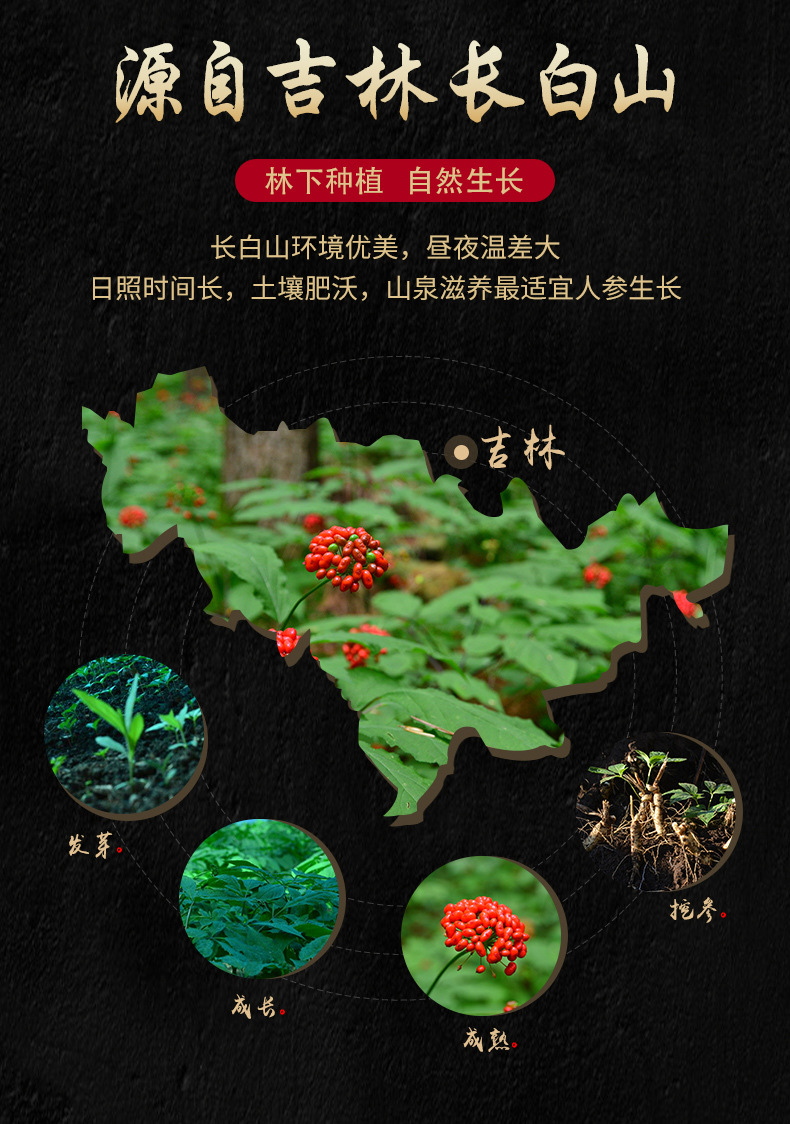 秦霄堂 长白山野山参籽货东北林下参野人参22年足年参泡酒山参礼盒装