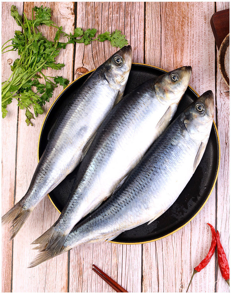 海青鱼新鲜整条鱼海鲜水产品深海青鱼淡水鱼沙丁鱼 素馨依水 200