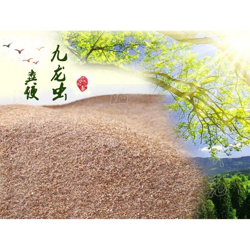 店铺推荐九龙虫粪便九龙虫虫粪洋虫粪便虫粪九龙虫虫粪500克