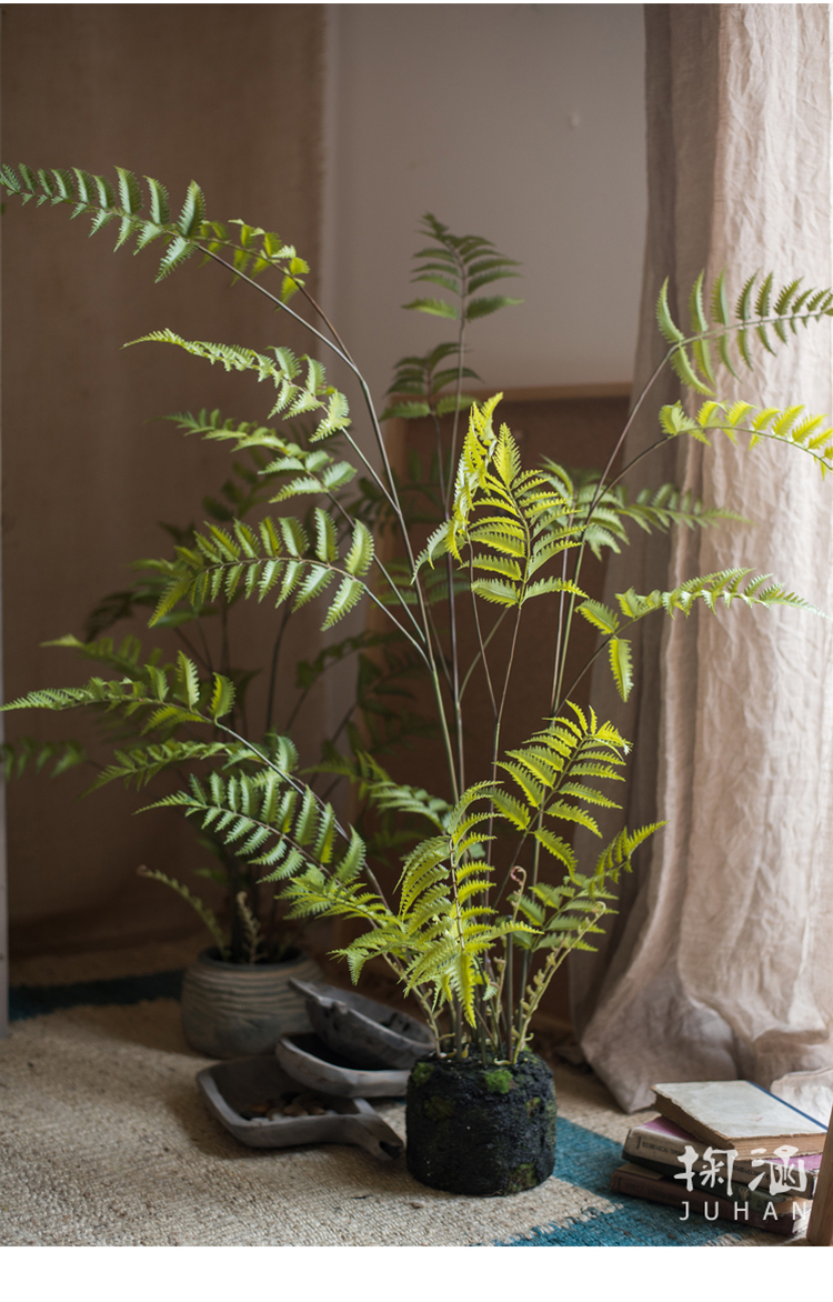 掬涵凤尾蕨苔泥团盆景仿真蕨草蕨树装饰绿植摆件造景陈列绳纹罐大高2