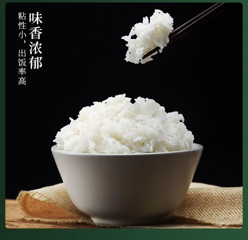 煲仔饭专用新米丝苗米长粒香大米5斤10斤20斤装大米25kg10斤长粒贡米