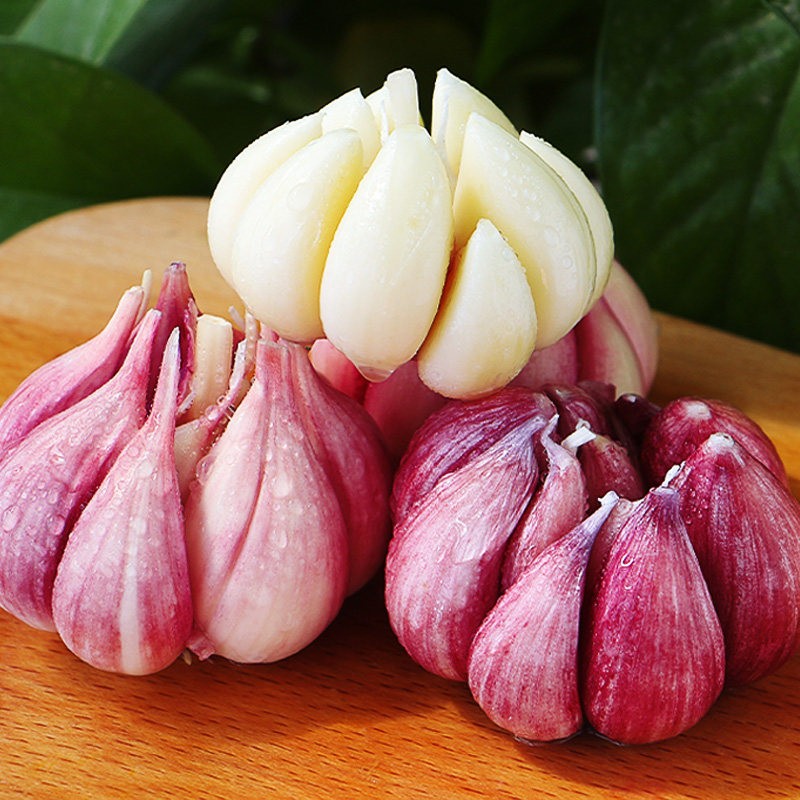 联承云南新鲜湿紫皮大蒜3斤装