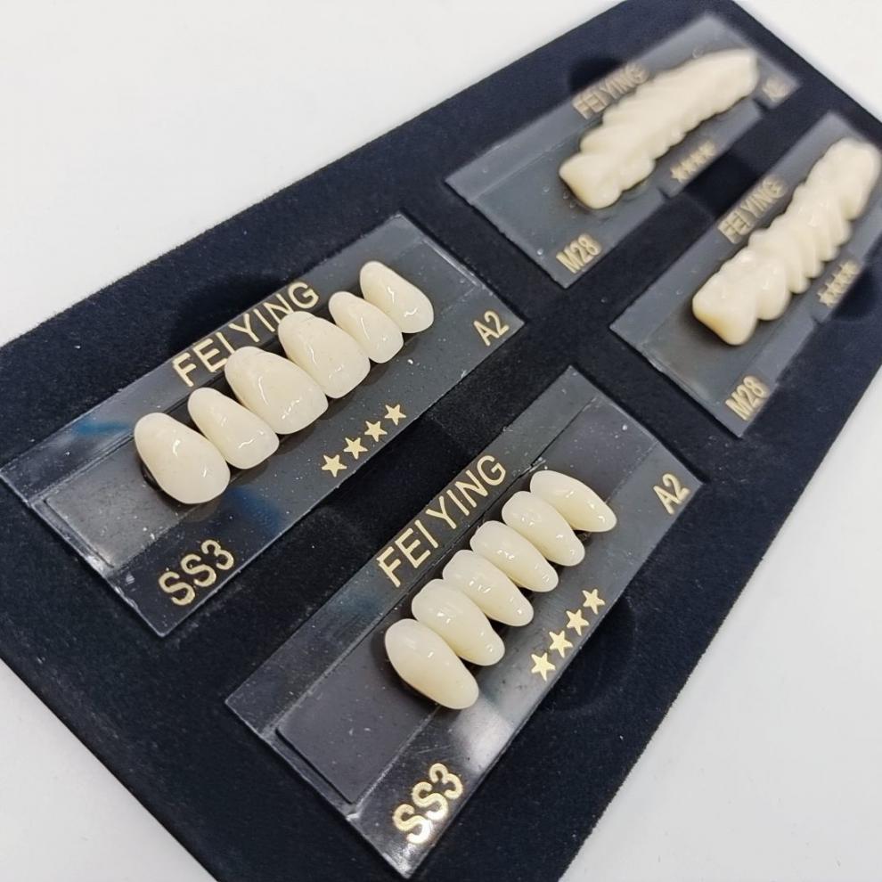 飞鹰四星多层色树脂牙前塑后钢牙二层色牙科塑钢牙齿全口义齿上半口ss