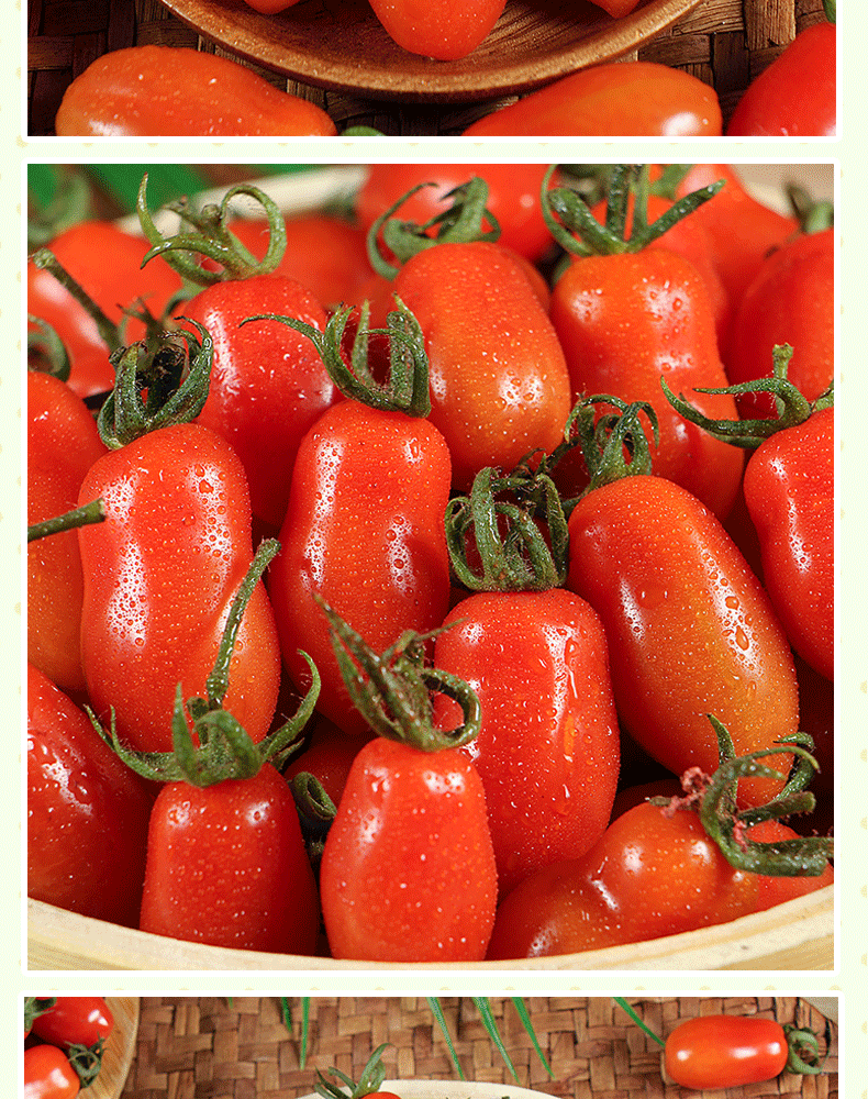 玫栀 东北丹东409小圣女果新鲜水果铁皮花生小番茄孕妇5斤 2斤【图片