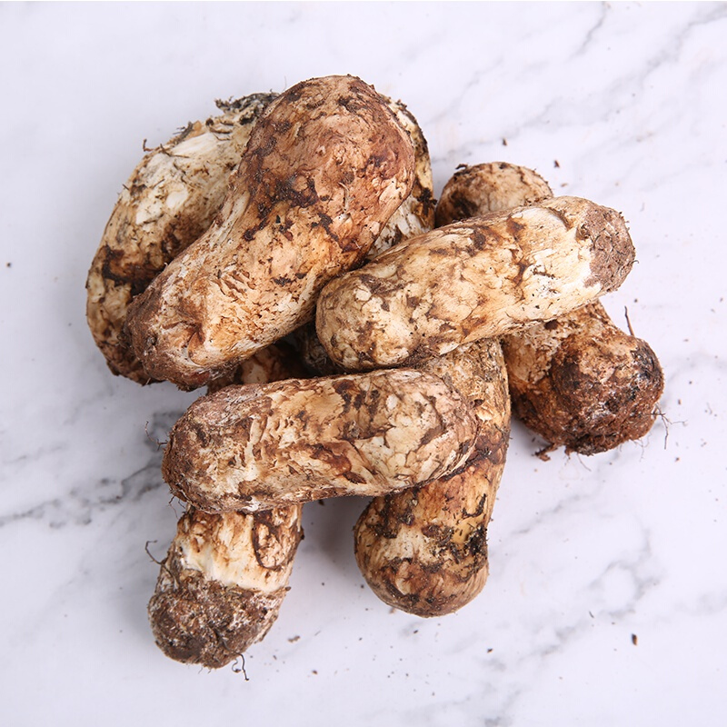 现货新鲜松茸菌500g云南香格里拉特产香磨菇3-5cm养生菌汤包